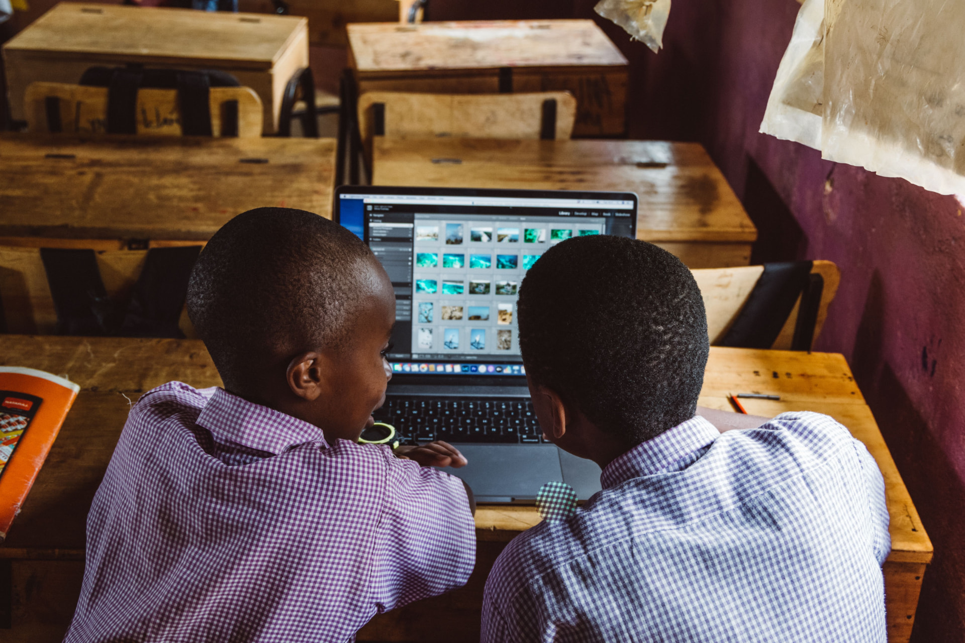 Mentorship & Opportunities
