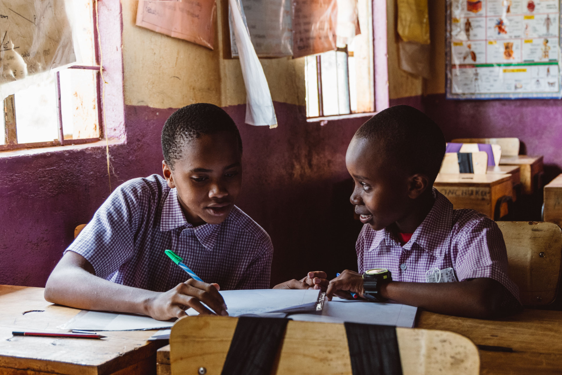 Two students studying together